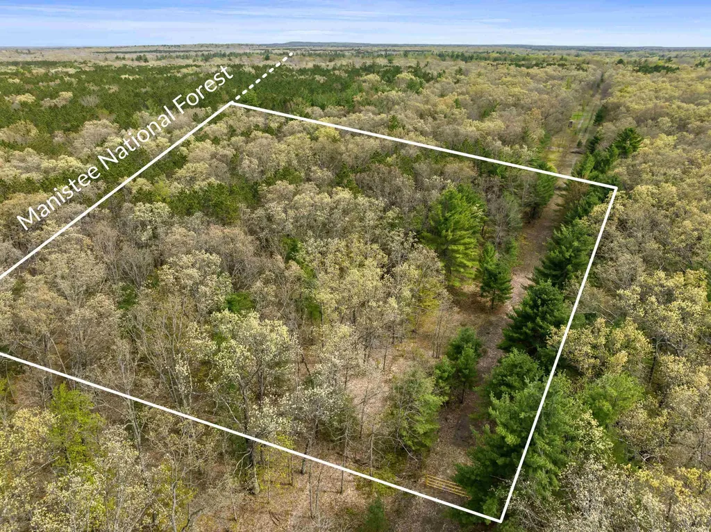 0 Maple Avenue Dickson Township MI 49619