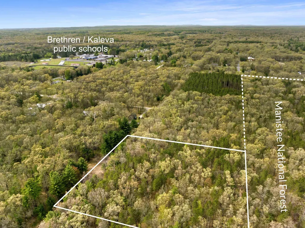 0 Maple Avenue Dickson Township MI 49619