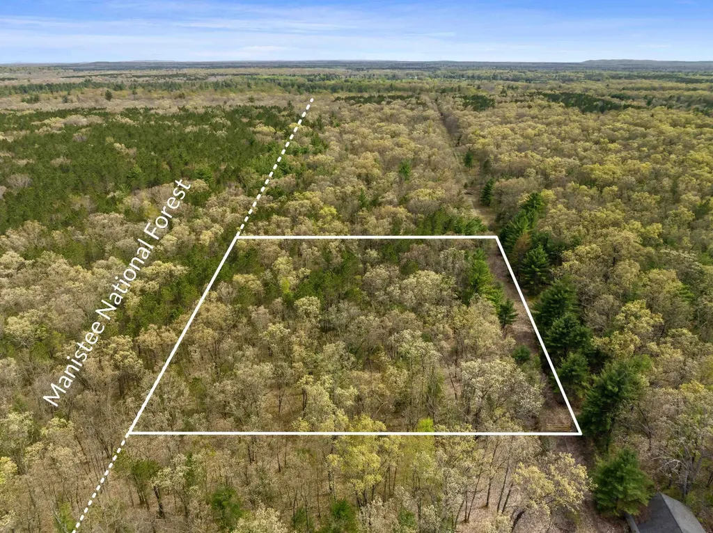0 Maple Avenue Dickson Township MI 49619