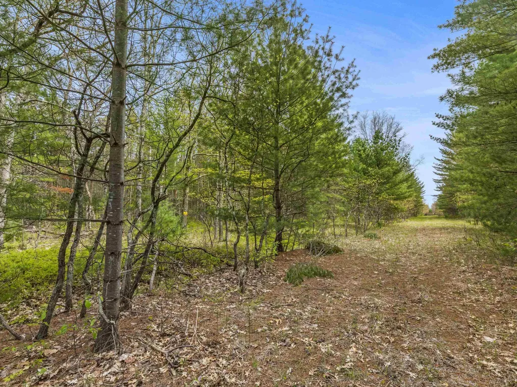 0 Maple Avenue Dickson Township MI 49619