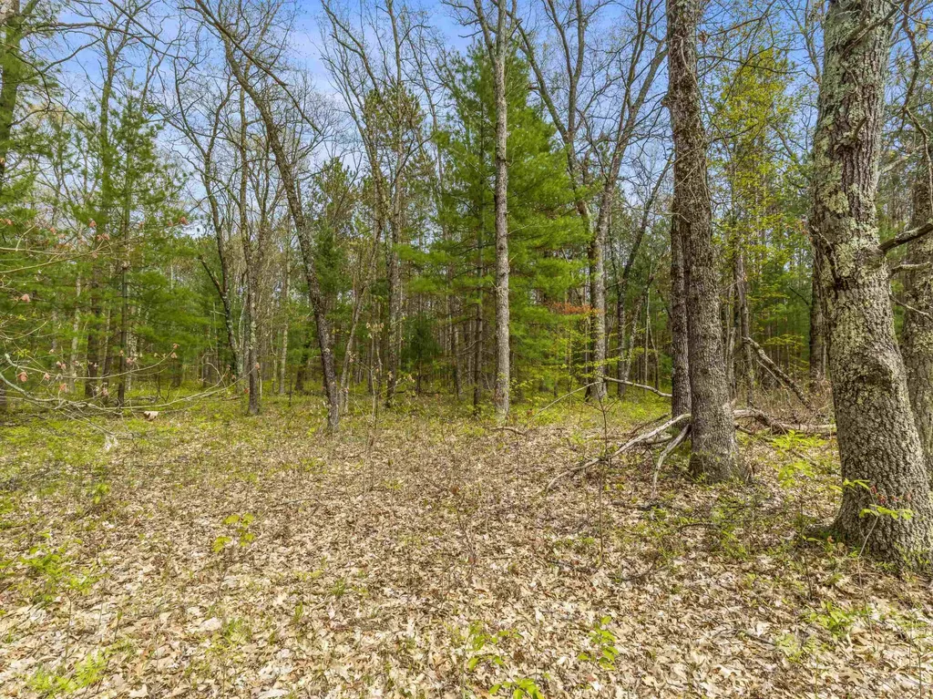 0 Maple Avenue Dickson Township MI 49619