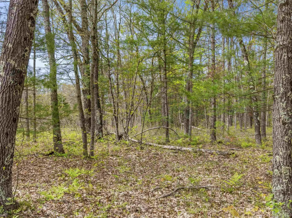 0 Maple Avenue Dickson Township MI 49619