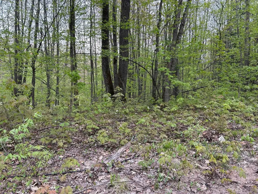 Lost Lake Road Inland Township MI 49617