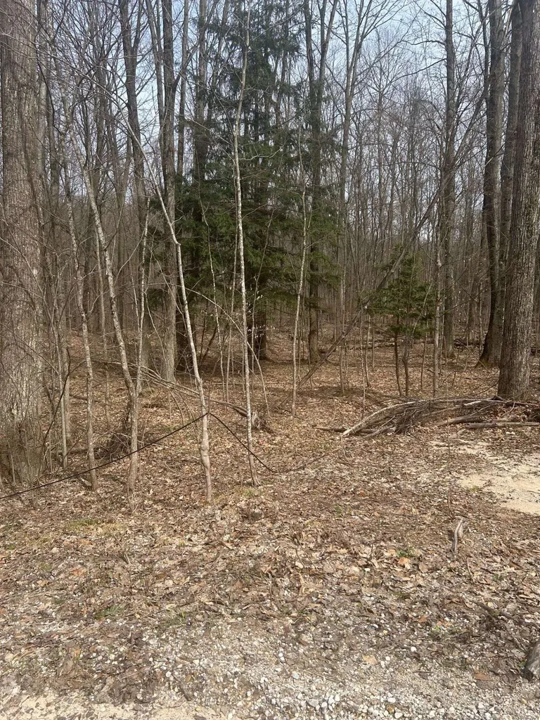 Lost Lake Road Inland Township MI 49617