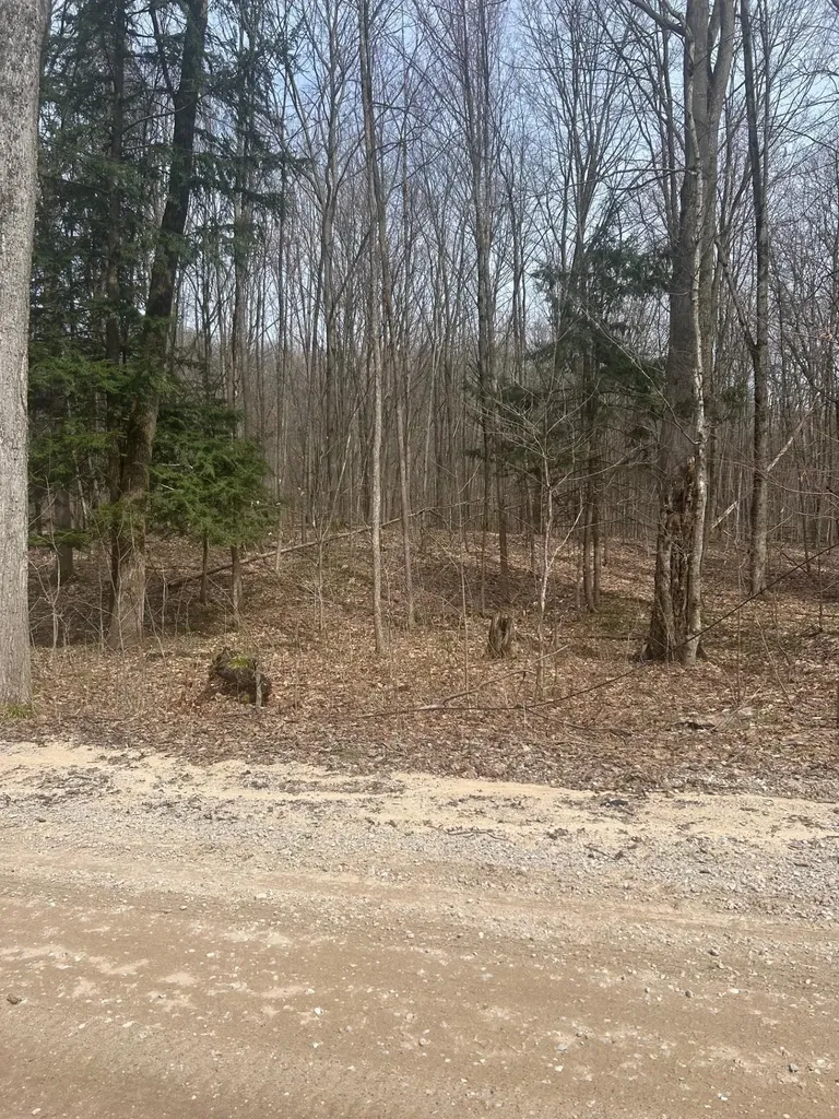 Lost Lake Road Inland Township MI 49617