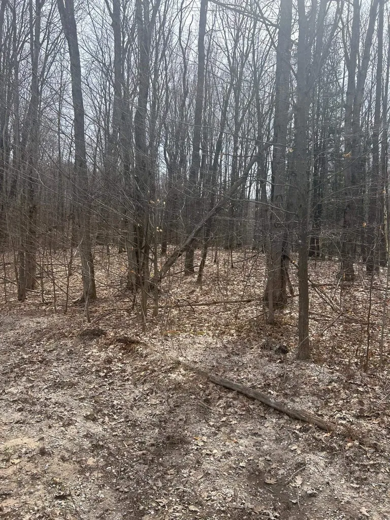 Lost Lake Road Inland Township MI 49617