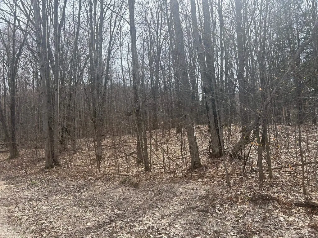 Lost Lake Road Inland Township MI 49617