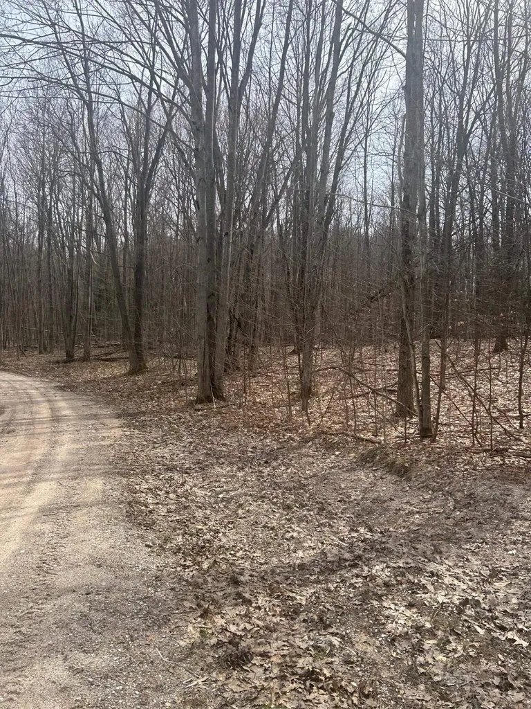 Lost Lake Road Inland Township MI 49617