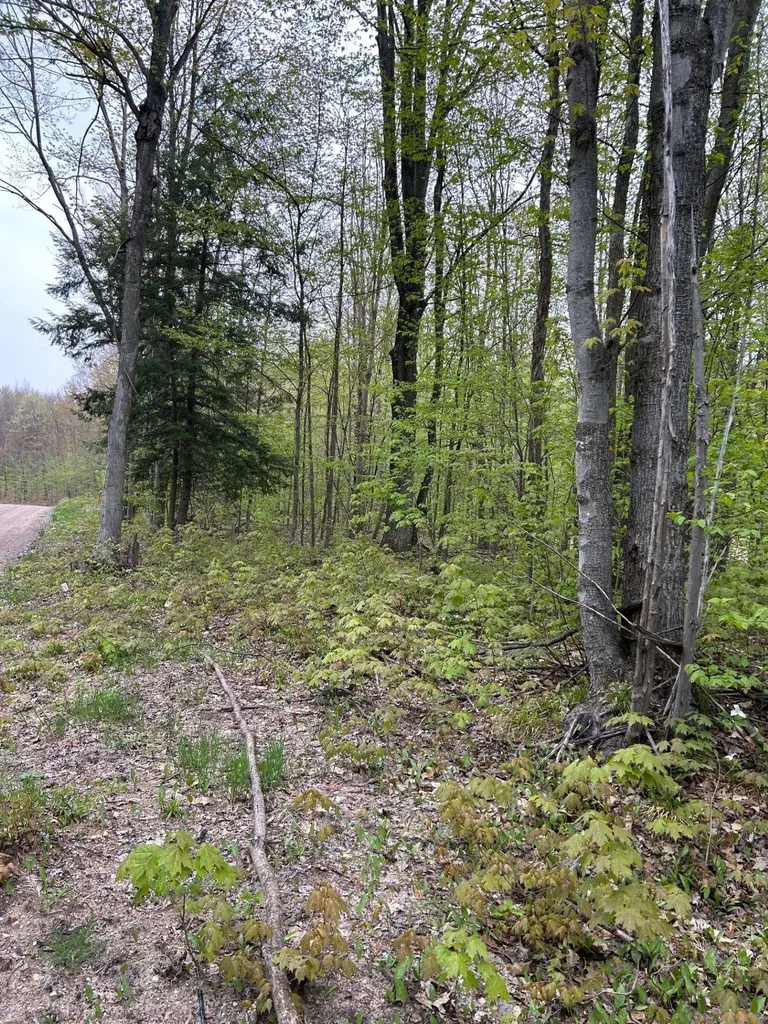 Lost Lake Road Inland Township MI 49617
