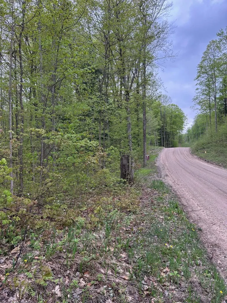 Lost Lake Road Inland Township MI 49617