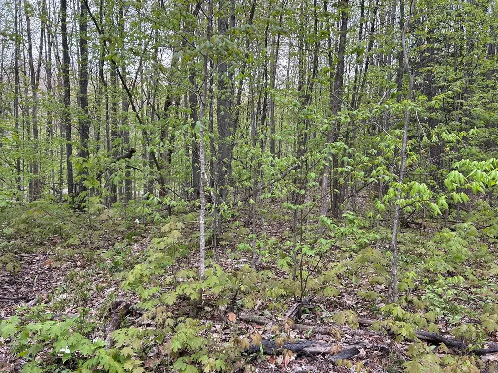 Lost Lake Road Inland Township MI 49617