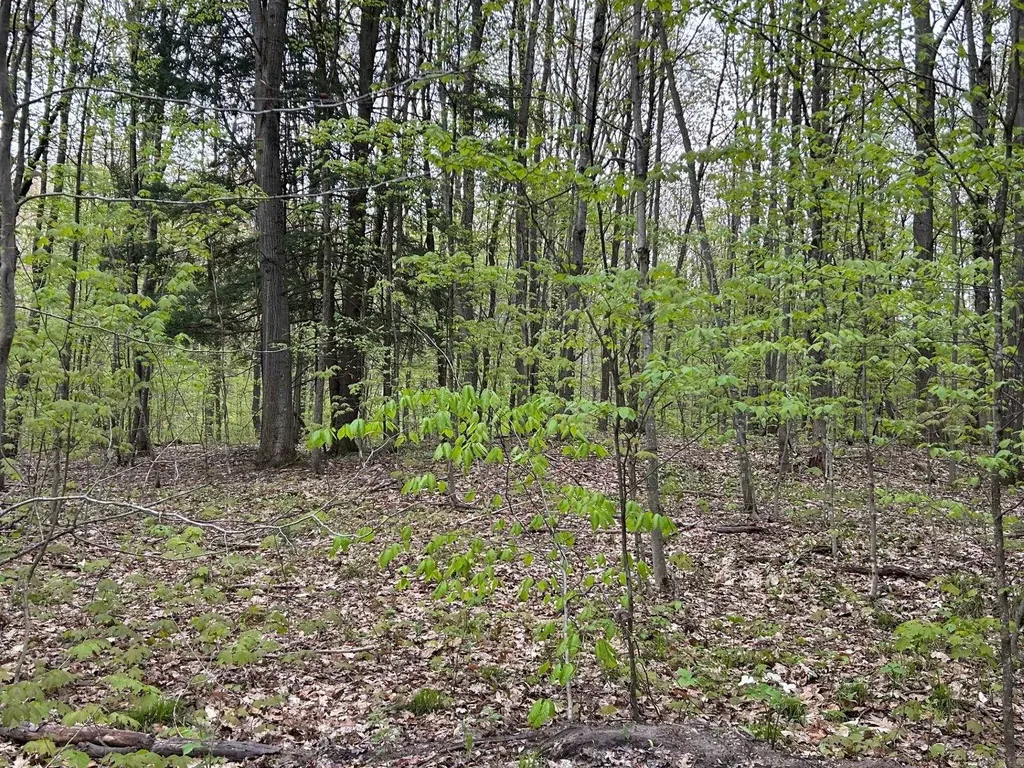 Lost Lake Road Inland Township MI 49617