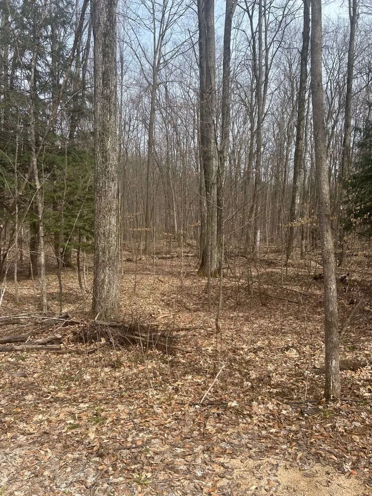Lost Lake Road Inland Township MI 49617