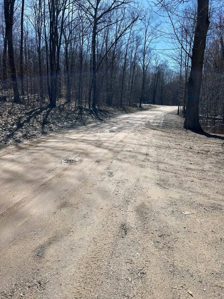 Lost Lake Road Inland Township MI 49617