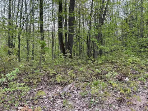 Lost Lake Road Inland Township MI 49617