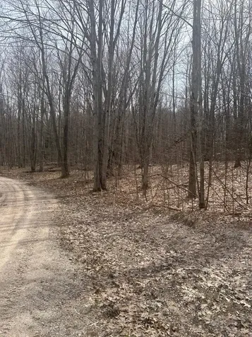 Lost Lake Road Inland Township MI 49617