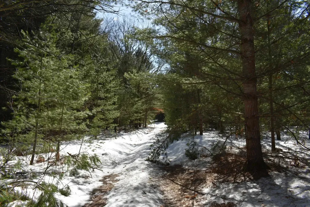Roop Road Paradise Township MI 49649