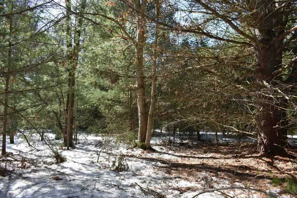 Roop Road Paradise Township MI 49649