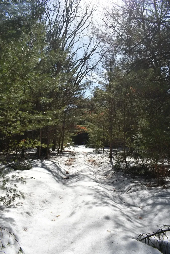 Roop Road Paradise Township MI 49649