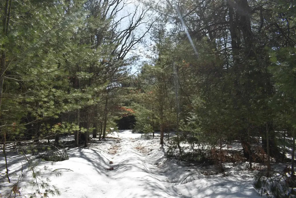 Roop Road Paradise Township MI 49649