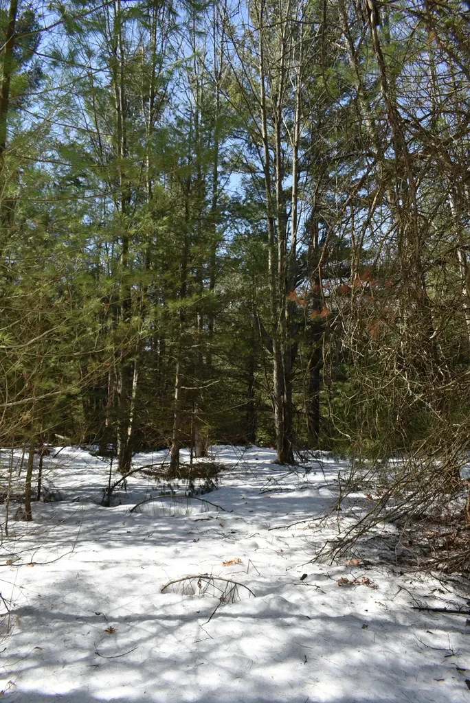 Roop Road Paradise Township MI 49649