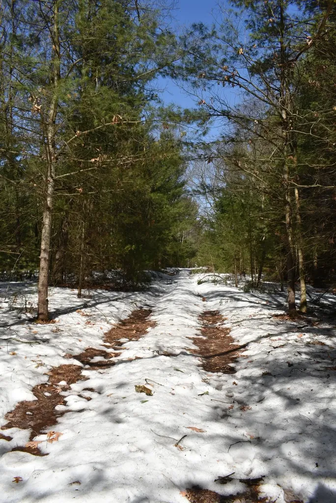 Roop Road Paradise Township MI 49649