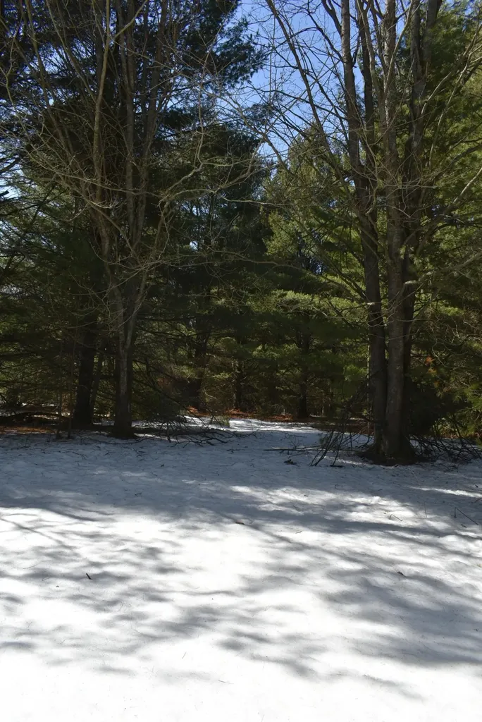 Roop Road Paradise Township MI 49649