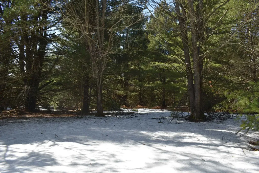 Roop Road Paradise Township MI 49649