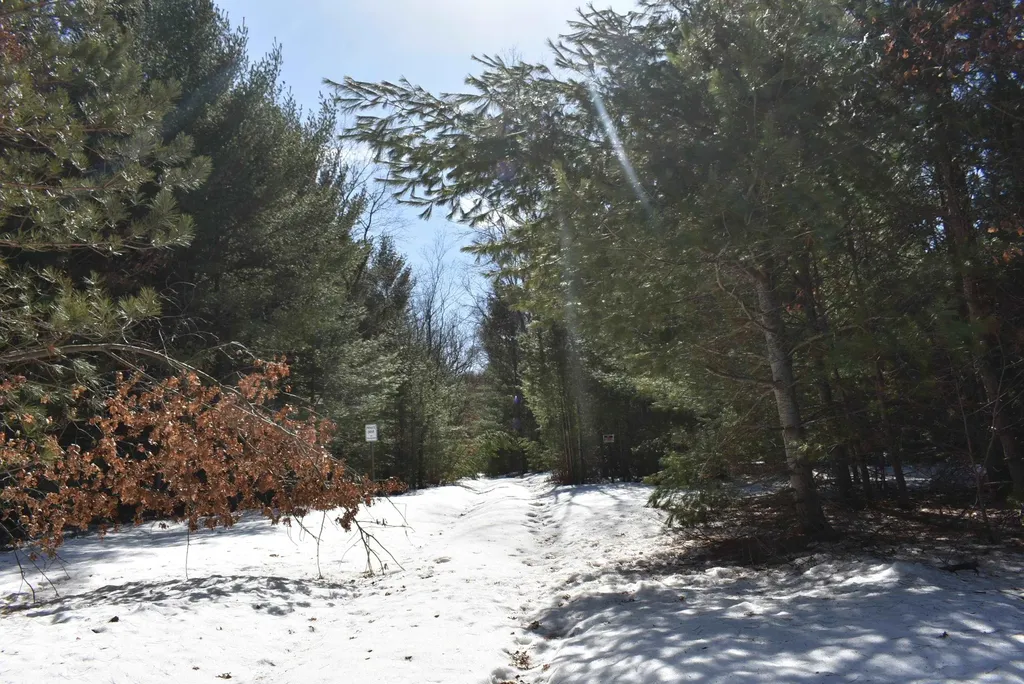 Roop Road Paradise Township MI 49649