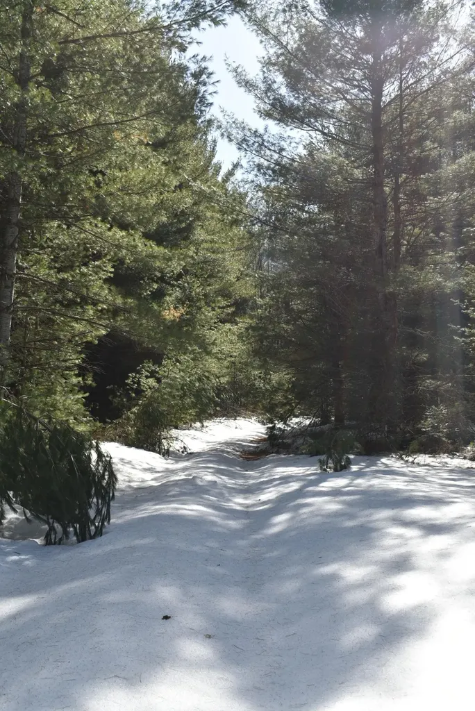 Roop Road Paradise Township MI 49649