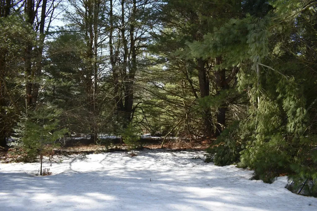 Roop Road Paradise Township MI 49649