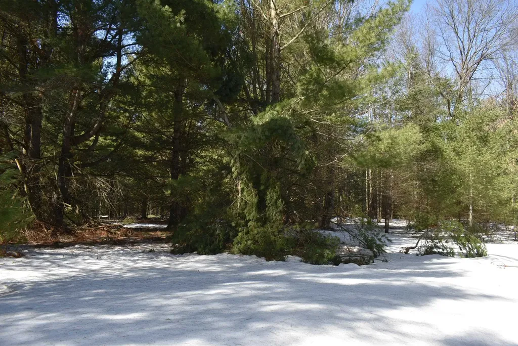 Roop Road Paradise Township MI 49649