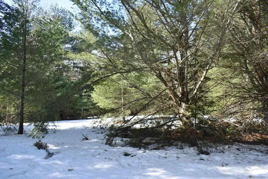 Roop Road Paradise Township MI 49649