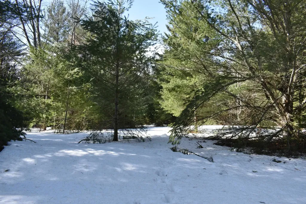 Roop Road Paradise Township MI 49649