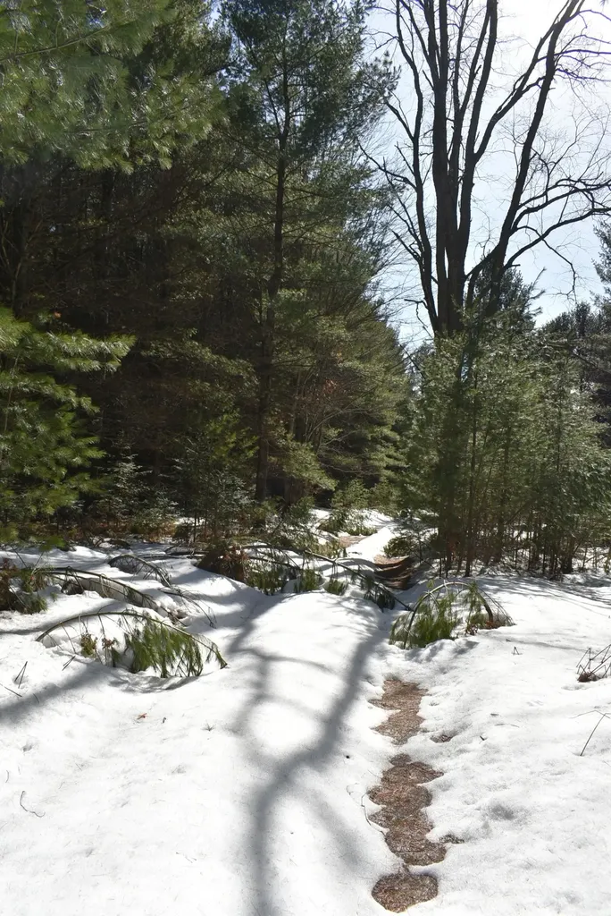 Roop Road Paradise Township MI 49649