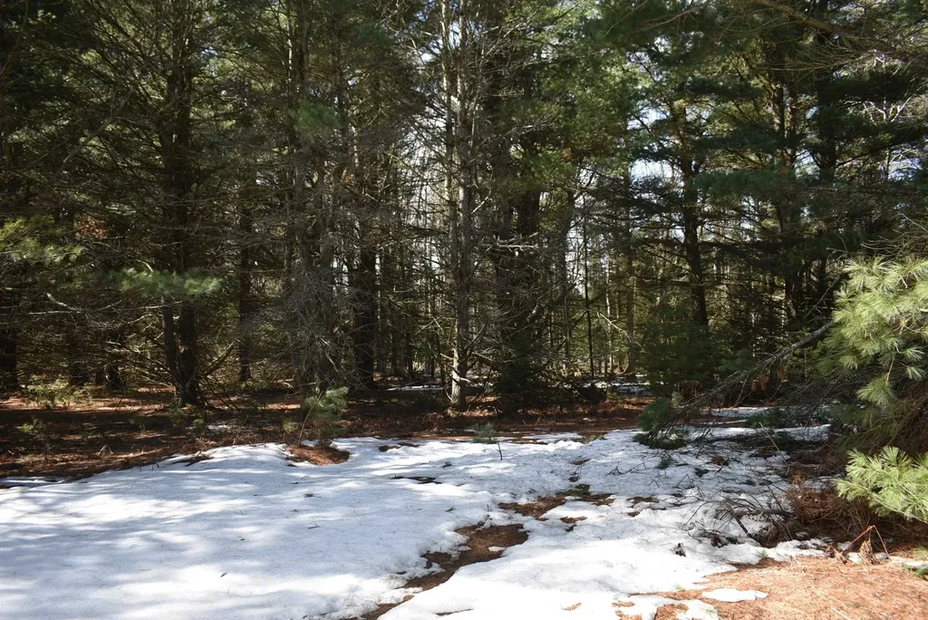 Roop Road Paradise Township MI 49649