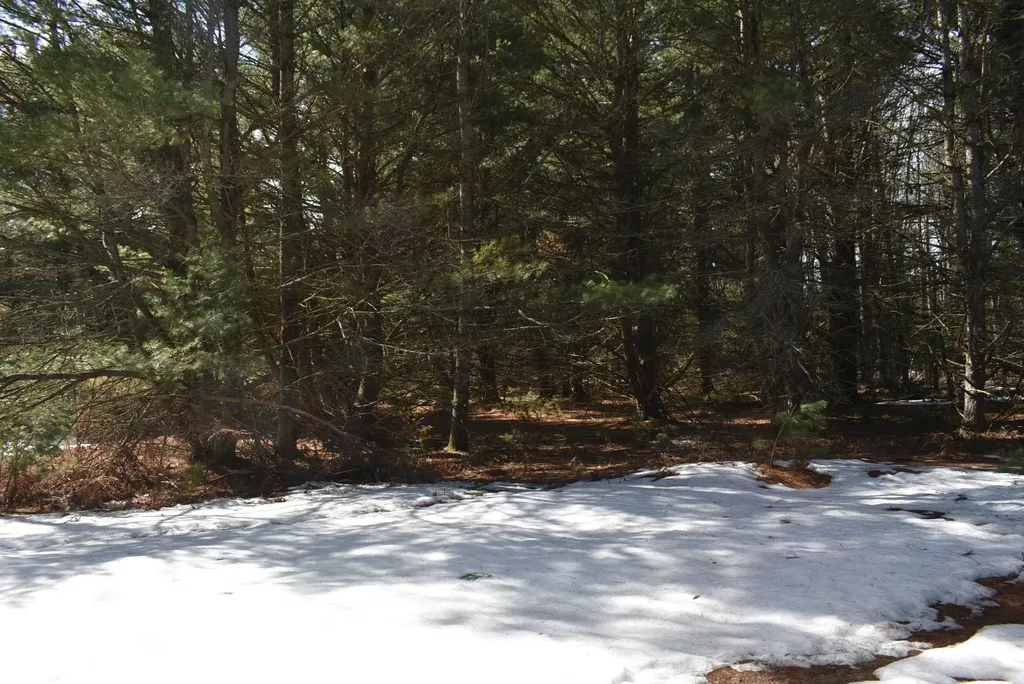 Roop Road Paradise Township MI 49649