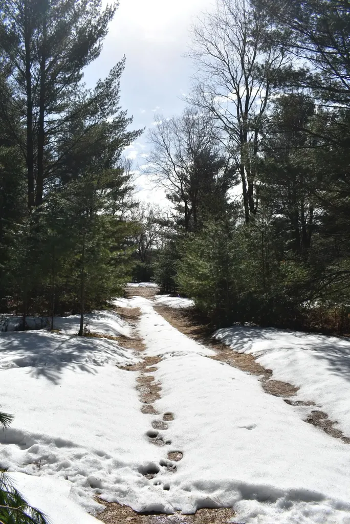Roop Road Paradise Township MI 49649