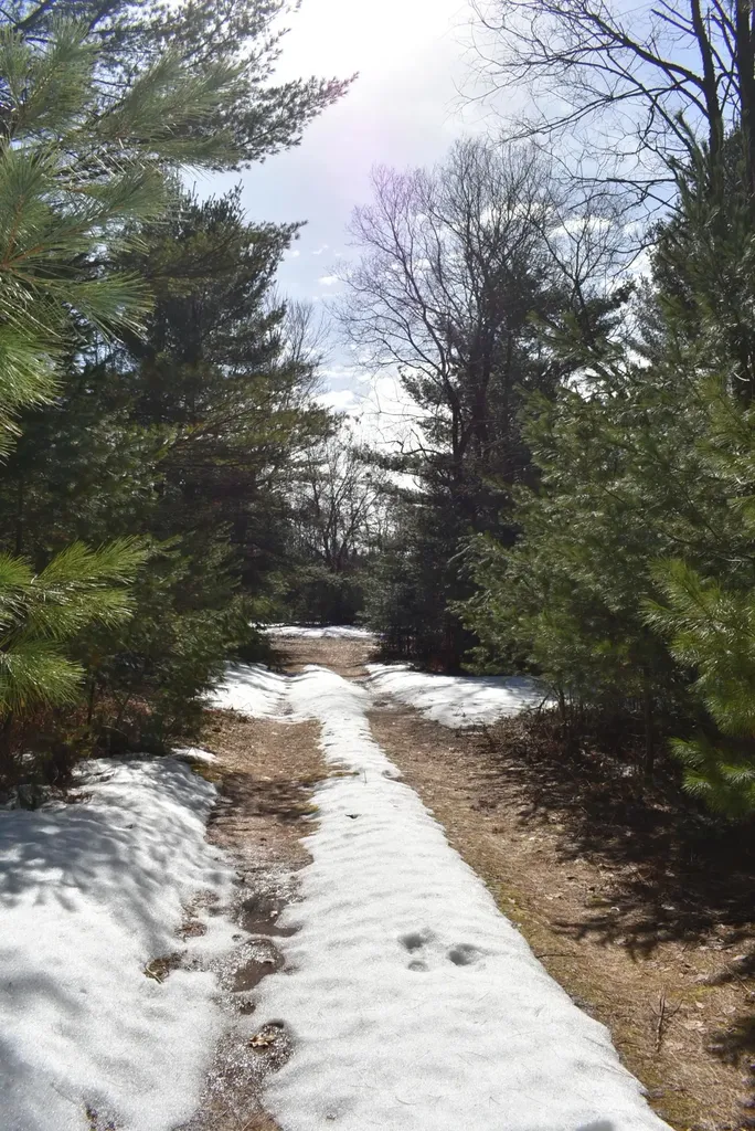 Roop Road Paradise Township MI 49649