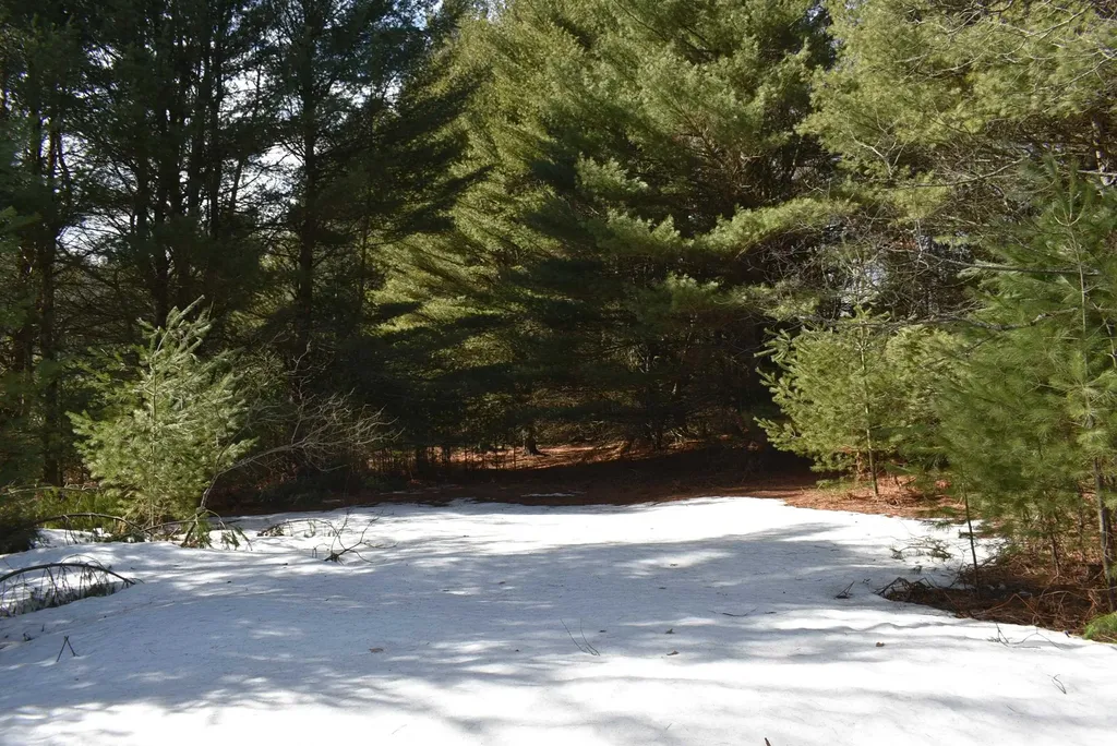 Roop Road Paradise Township MI 49649