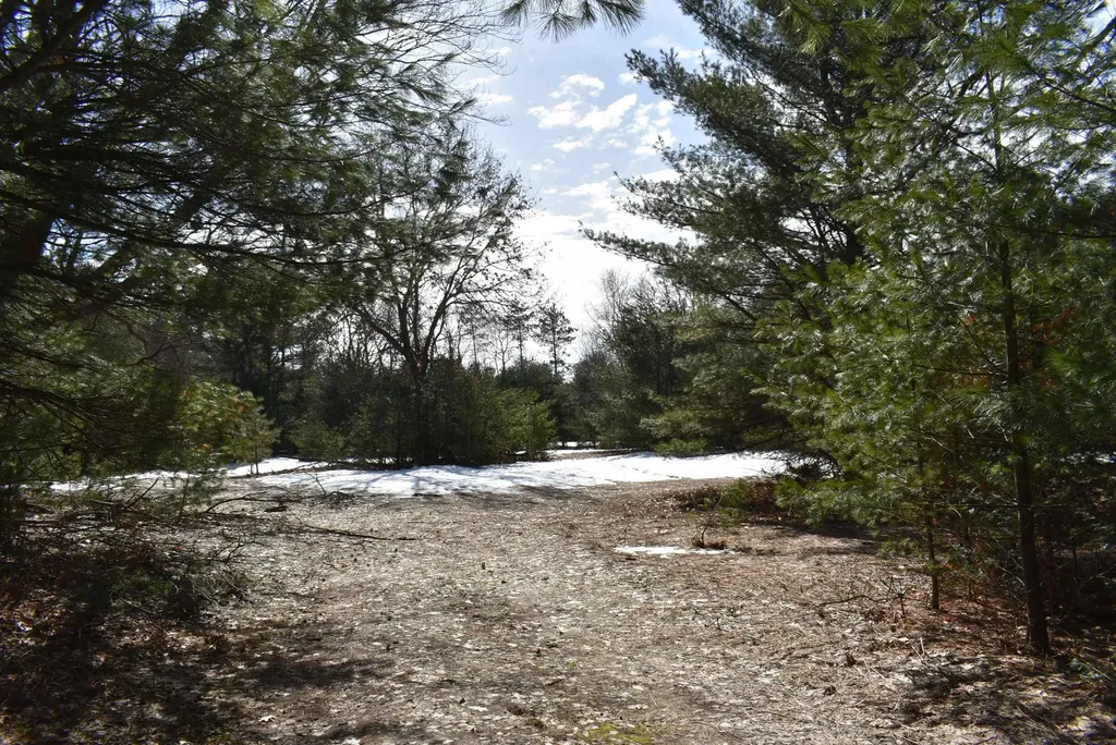 Roop Road Paradise Township MI 49649