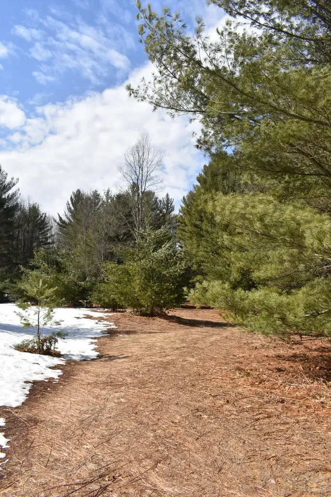 Roop Road Paradise Township MI 49649
