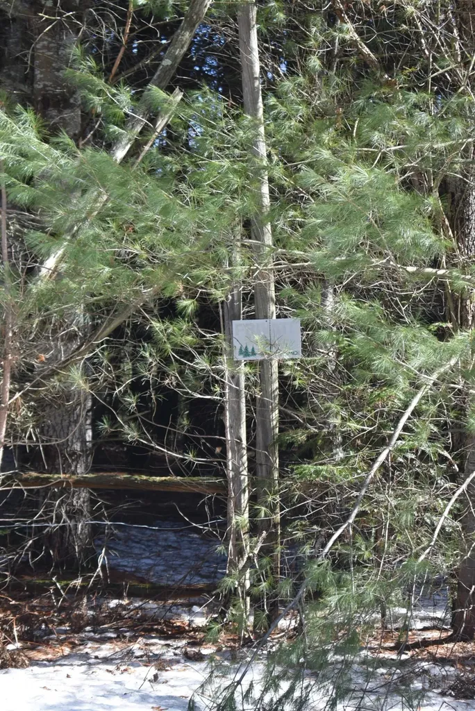 Roop Road Paradise Township MI 49649