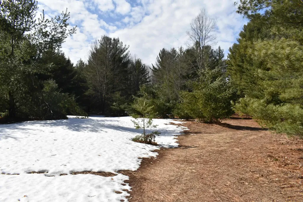 Roop Road Paradise Township MI 49649