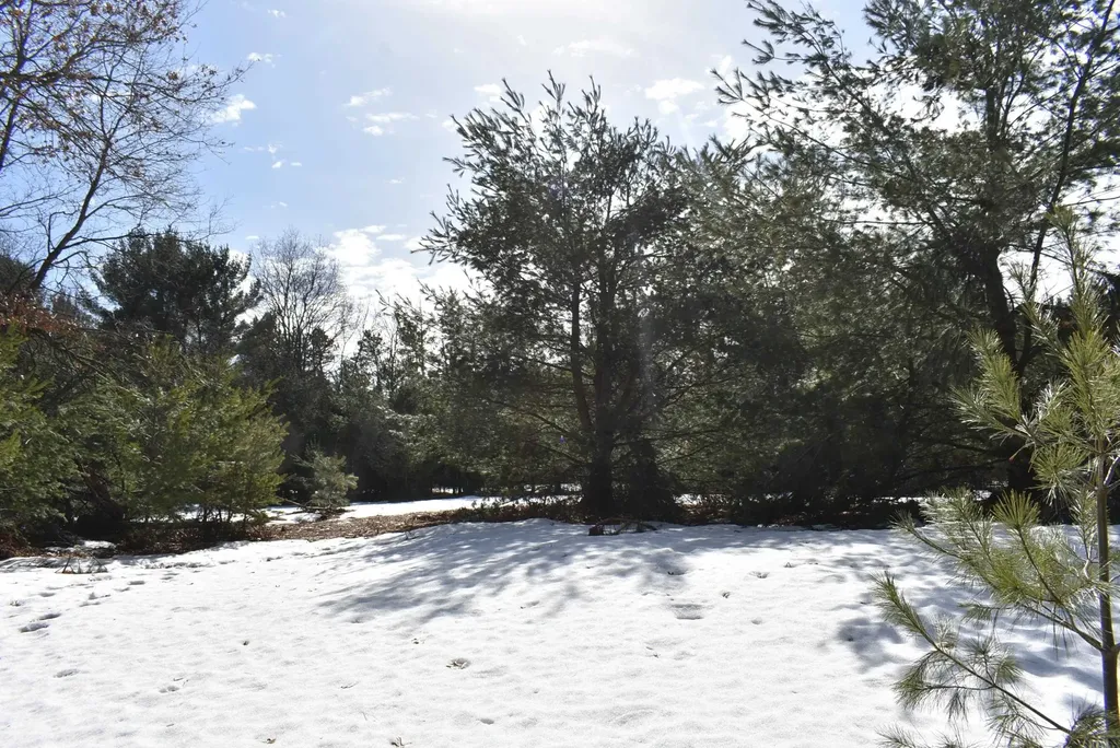 Roop Road Paradise Township MI 49649
