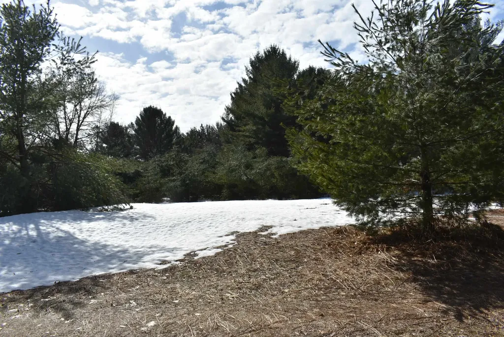 Roop Road Paradise Township MI 49649