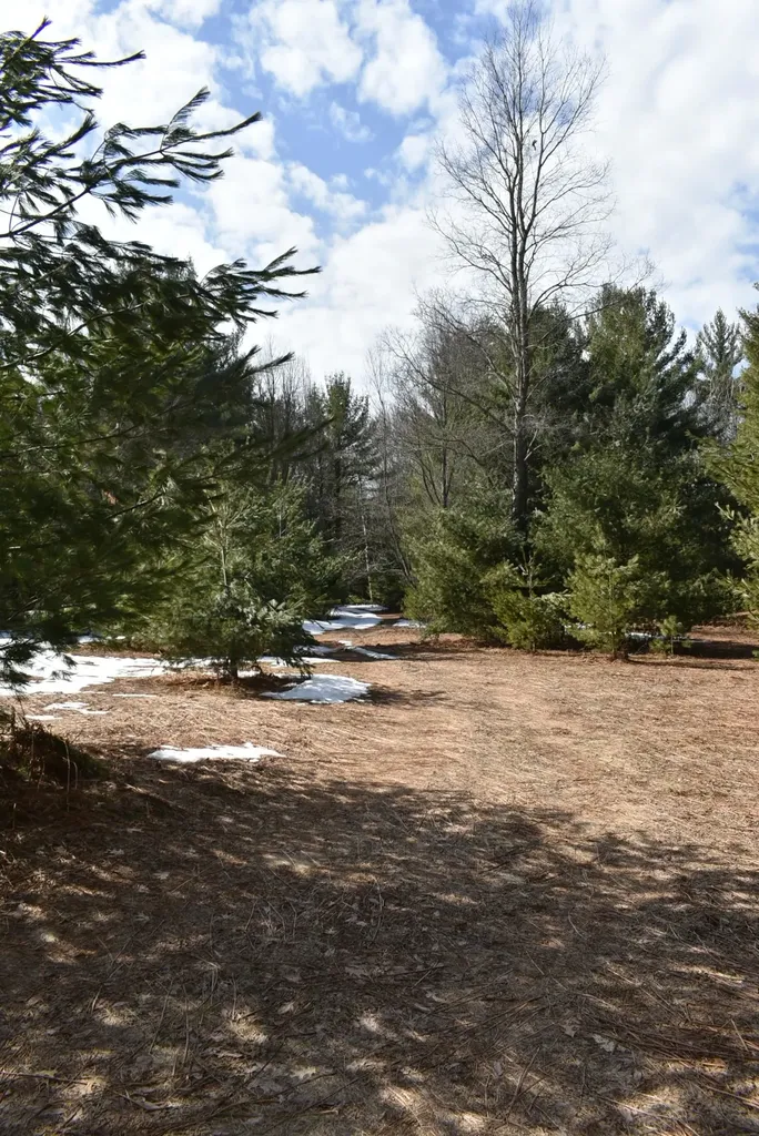Roop Road Paradise Township MI 49649