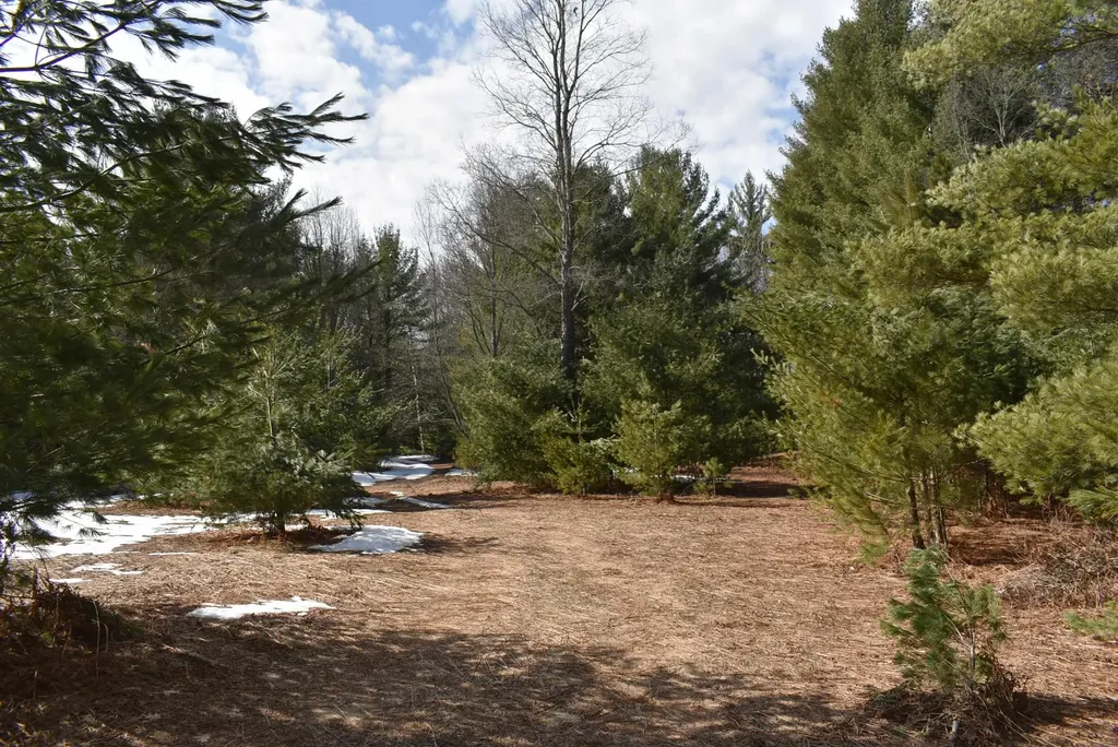 Roop Road Paradise Township MI 49649