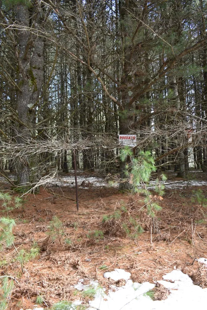 Roop Road Paradise Township MI 49649