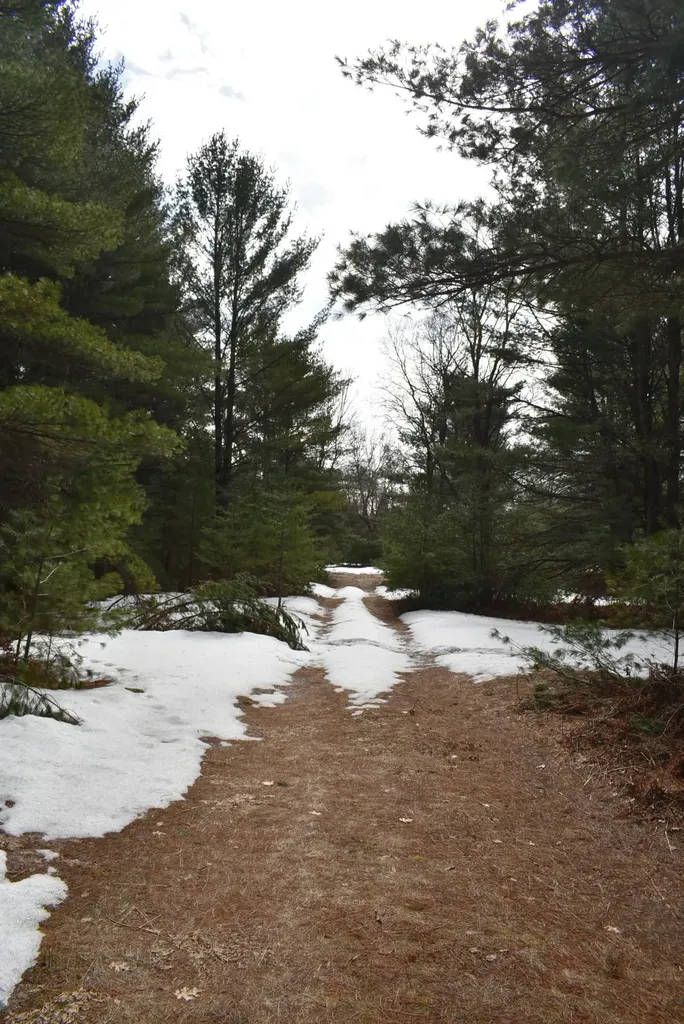 Roop Road Paradise Township MI 49649